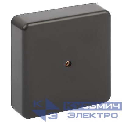 Коробка распаячная 100х100х30мм без клеммы IP40 черн. BS-B-100-100-30 Эра Б0061807
