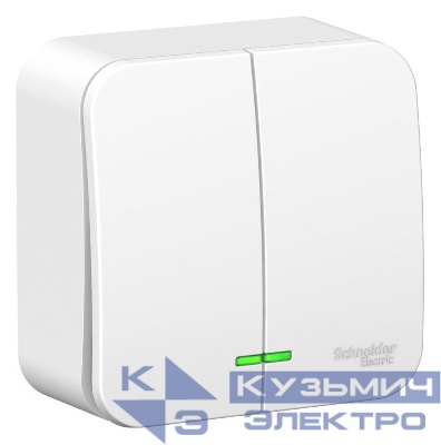 Выключатель 2-кл. ОП Blanca 10А IP20 (сх. 5) 250В с металлич. пластиной бел. SE BLNVA105021