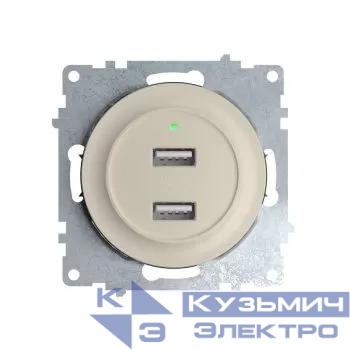 Розетка USB 2-м СП Florence 16А IP20 с подсветкой механизм беж. (1E10351301) OneKeyElectro 2260090