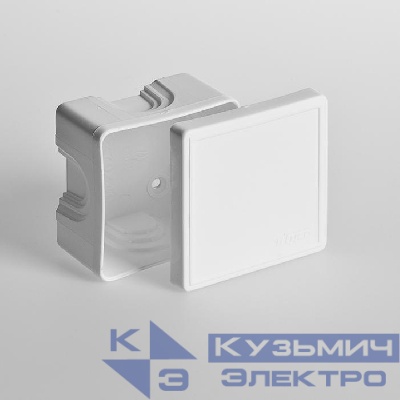 Коробка распределительная ОП 70х70х40мм IP40 бел. Ruvinil 65006Б