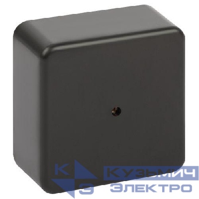 Коробка распаячная 100х100х50мм без клеммы IP40 черн. BS-B-100-100-50 Эра Б0061805
