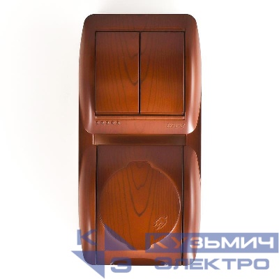 Блок Nata (розетка с заземл. с защ. крышкой + 2-кл. выкл.) вертикал. вишня LEZARD 710-0600-173