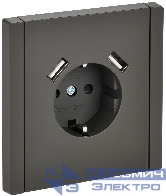 Розетка FORTE&PIANO FP345 16А USB A+A 3.1А с заземл. защ. шторки винт. крепл. сер. IEK FP-R14-16-U21-D31-K03