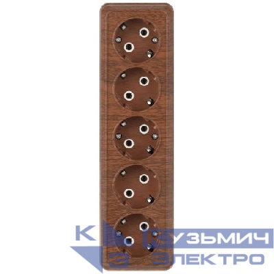Розетка 5-м ОП Quadro 2-210-10 16А IP20 5х2P+E 250В с заземл. венге Intro Б0053860