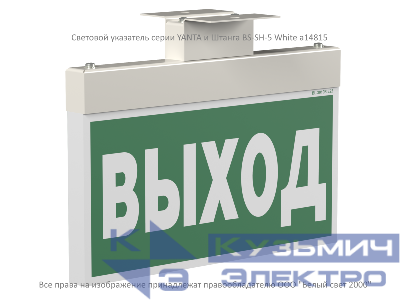 Указатель световой BS-YANTA-10-S1-24 (=24В) централиз. электропитания Белый свет a15807
