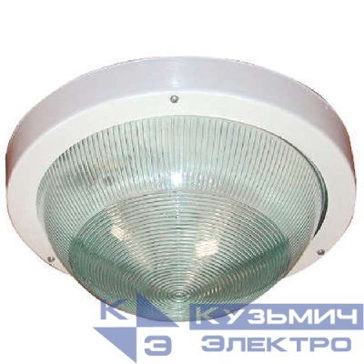 Светильник НПП 03-100-001 "Селена 1" 1х100Вт E27 IP65 корпус бел. Элетех 1005500139