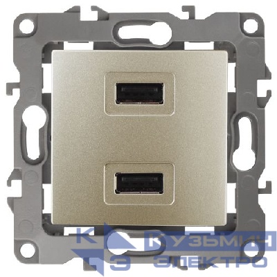 Устройство зарядное USB 12-4110-04 5В-2100мА шампань ЭРА Б0027494