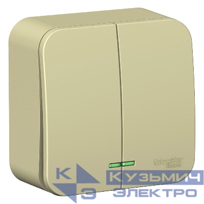 Выключатель 2-кл. ОП Blanca 10А IP20 (сх. 5) 250В с подсветкой с изолир. пластиной беж. SE BLNVA105117