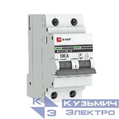 Выключатель нагрузки 2п 100А ВН-125 PROxima EKF SL125-2-100-pro