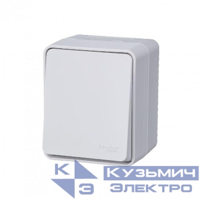 Переключатель проходной 1-кл. ОП AtlasDesign PROFI IP54 10AX бел. SE ATN540161
