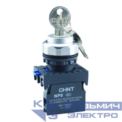 Переключатель с ключом NP8-10Y/21 2 полож. с фиксацией 1НО IP65 (R) CHINT 578130