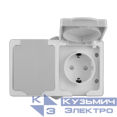 Розетка 2-м Аллегро горизонт. с заземл. защ. шторки с крышкой IP54 сер. UNIVersal 1272