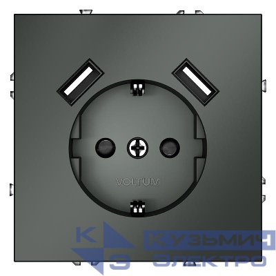 Розетка 1-м СП S70 16А с USB A+A с заземл. защ. шторки механизм титан Voltum VLS040406