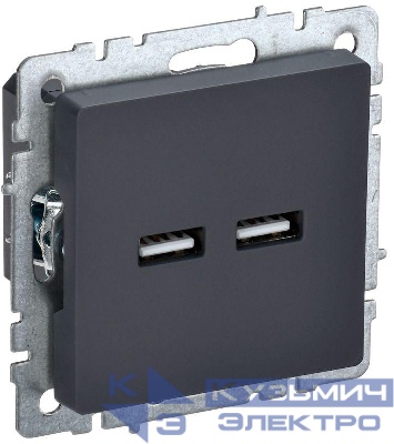 Розетка BRITE USB A+A 3.1А РЮ10-1-БрГ механизм графит IEK BR-U21-D31-K53