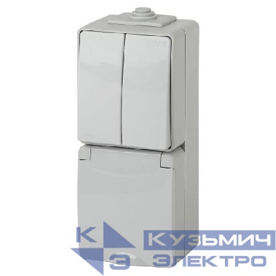 Блок розетка+выкл. ОП Эра Эксперт 11-7608-03 16А(10AX)-250В двойн. верт. IP65 сер. ЭРА Б0035999