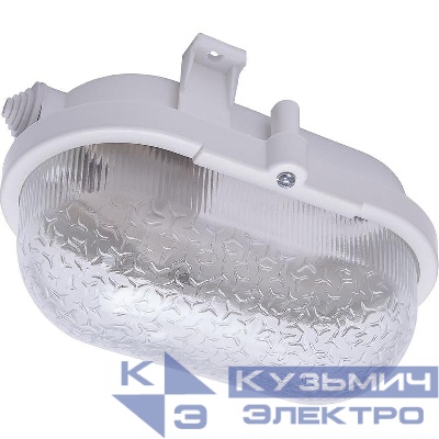 Светильник НБП 01-60-012 60Вт E27 IP44 220В накладной FERON 41405