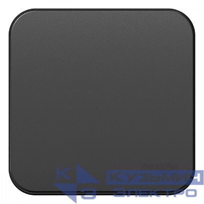 Выключатель 1-кл. ОП Blanca 10А IP20 (сх. 1) с самовозвратом с изолир. пластиной антрацит SE BLNCA101016