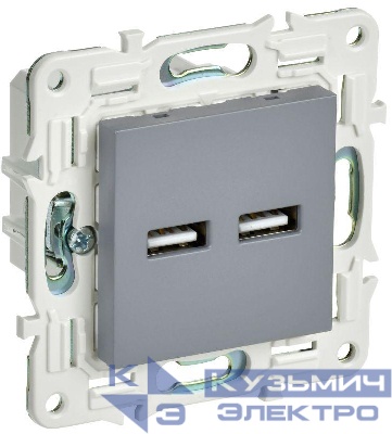 Розетка USB A+A 3.1А SKANDY SK-R15Gr сер. IEK SK-U21-D31-K03
