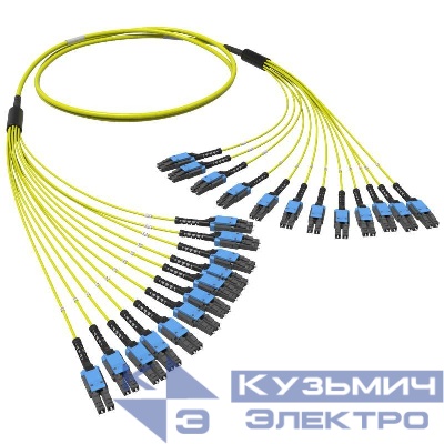 Сборка оптическая разветвительная 24ОВ 9/125 OS2 12хLC-UPC Duplex Uniboot/12хLC-UPC Duplex Uniboot 10м DKC RNFLL24S10