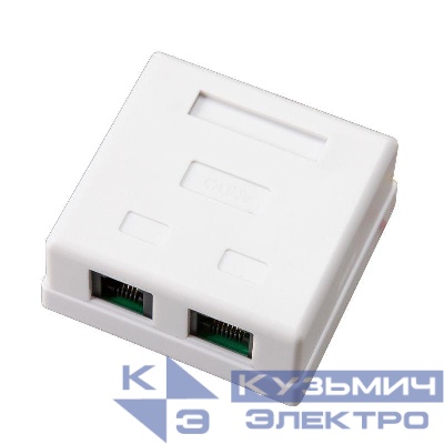 Розетка компьютерная + телефонная 2-м ОП RJ45 + RJ11 UTP неэкранир. комбинир. REXANT 03-0120