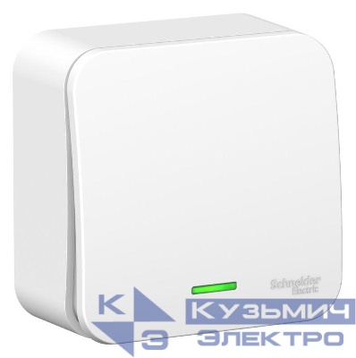 Выключатель 1-кл. ОП Blanca 10А IP20 (сх. 1) 250В с подсветкой бел. SE BLNVA101101