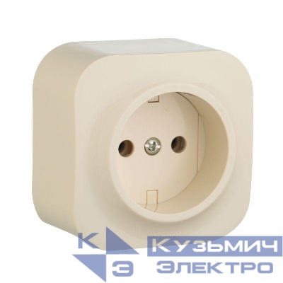 Розетка 1-м ОП Quteo 16А IP20 2P без заземл. без защ. шторок сл. кость IEK 782240