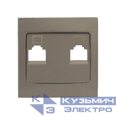 Панель лицевая Валенсия для розетки 2-м RJ-45 кашемир PROxima EKF ESK02-L-035-40