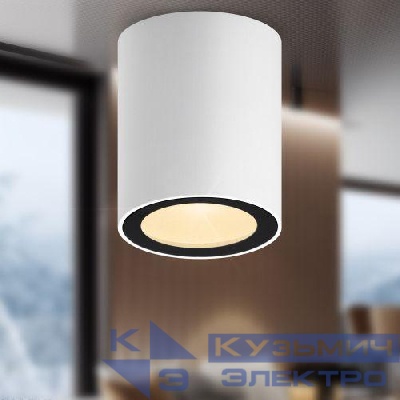 Светильник OL48 WH/BK MR16 GU10 IP44 настен./потолочн. спот черн./бел. Эра Б0059799