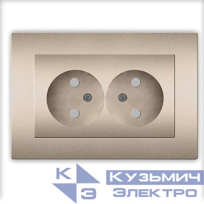 Розетка 2-м СП Афина 16А IP20 без заземл. защ. шторки в сборе шампань Universal A0048-Br
