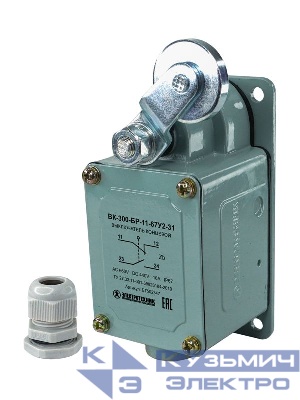 Выключатель конечн. ВК-300-БР-11-67У2-31 рычаг с роликом; с сальником ход вправо; самовозврат; ступень 3- 61мм IP67 Электротехник ET502347