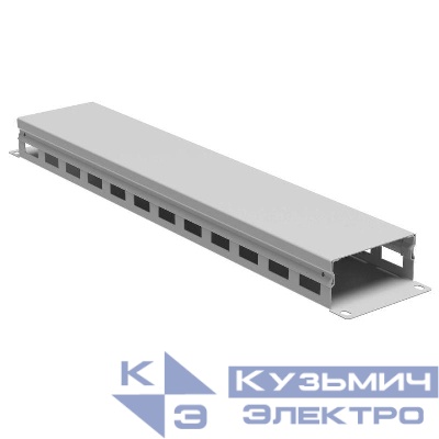 Органайзер кабельный 19дюйм с крышкой 2U глубина 40 мм RAL7035 DKC R5CP1942HE