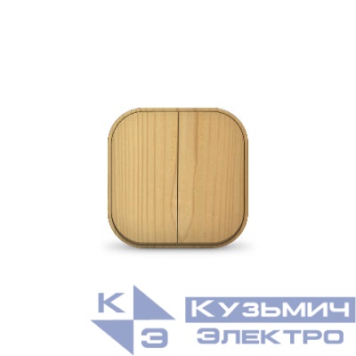 Выключатель 2-кл. 1п ОП 10А IP20 сосна IONICH 1436