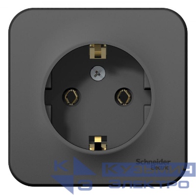 Розетка 1-м ОП Blanca 16А IP20 250В с заземл. без защ. шторок с изолир. пластиной антрацит SE BLNRA010116