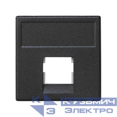 Адаптер на 1 RJ45 коннектор SimonConnect AMP (S110; SL110; SLt) Brand-RexRIT 45х45мм графит K076-14