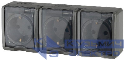 Розетка 3-м ОП Эра Эксперт 11-2405-03 16А IP54 16AX 250В 3х2P+E сер. Эра Б0020721