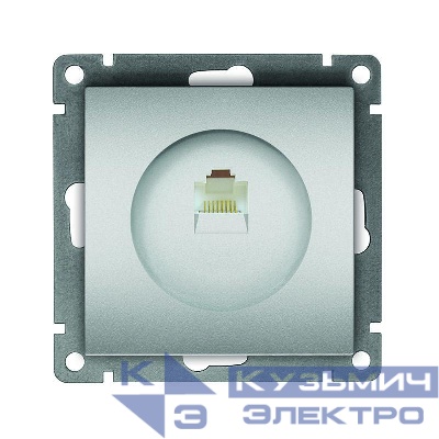 Розетка компьютерная 1-м СП Афина RJ45 кат.5E механизм серебр. Universal A0051-S