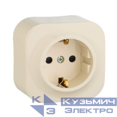 Розетка 1-м ОП Quteo 16А IP20 250В 2P+E с заземл. защ. шторки сл. кость Leg 782250