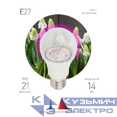 Лампа светодиодная FITO-14W-RB-E27-K 14Вт A60 грушевидная прозрачная 1310К E27 130-270В для растений красн./син. спектр Эра Б0039071