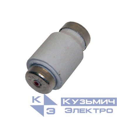 Вставка плавкая ПВД-III 25А У3 И к ПРС Кашин 350030002В025.00ИМ00