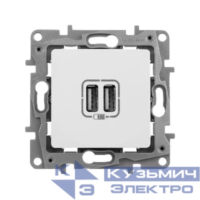 Розетка USB 2-м СП 2мод. Etika 240В/5В 2400мА механизм бел. Leg 672294