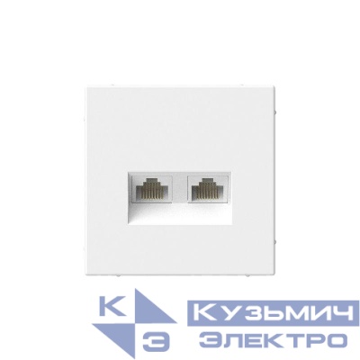 Розетка компьютерная 2-м ArtGallery RJ45 + RJ45 кат.5E механизм лотос SE GAL001385