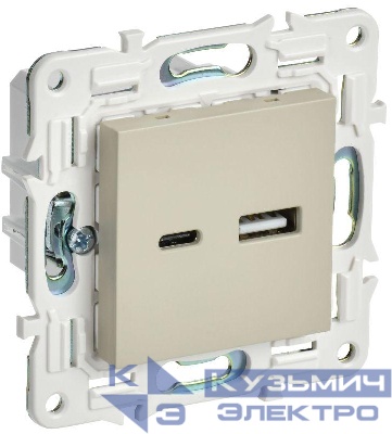 Розетка USB A+C 18Вт SKANDY SK-R13B беж. IEK SK-U22-018-K10