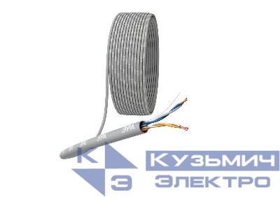 Кабель витая пара U/UTP кат.5E 2х2х24AWG solid CU PVC сер. (м) Эра Б0044428