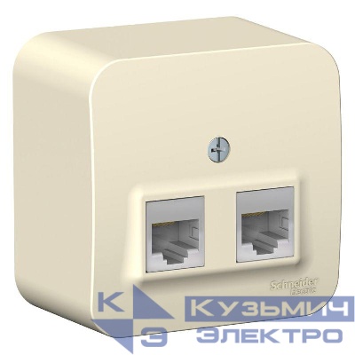 Розетка компьютерная 2-м ОП Blanca RJ45 кат.5E с изолир. пластиной молочн. SE BLNIA045452