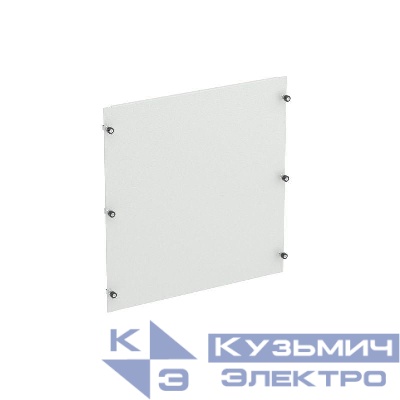 Панель внутренняя глухая с винтовым креплением ШхВ 600х500мм DKC R5NFPI650