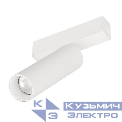 Светильник светодиодный MAG-SPOT-25-R120-12W Day4000 WH 30deg 24В IP20 12Вт 4000К метал. Arlight 050076