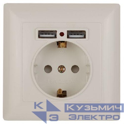 Розетка 1-м СП Solo 4-410-02 16А IP20 250В 2хUSB P+E Schuko с заземл. защ. шторки слон. кость Intro Б0053714