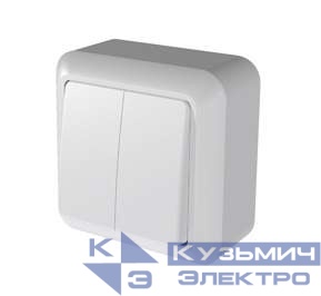 Выключатель 2-кл. ОП Оптима 10А IP20 А510-380 с монтаж. пластиной бел. Кунцево 8003