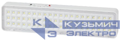 Светильник светодиодный DBA-103-0-20 60LED 5ч IP20 аварийный непостоянный Эра Б0044396