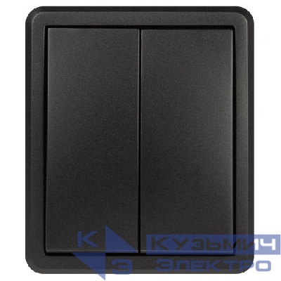 Выключатель 2-кл. ОП Эксперт 11-1205-05 10А IP20 250В 10AX с подсветкой антрацит Эра Б0063021